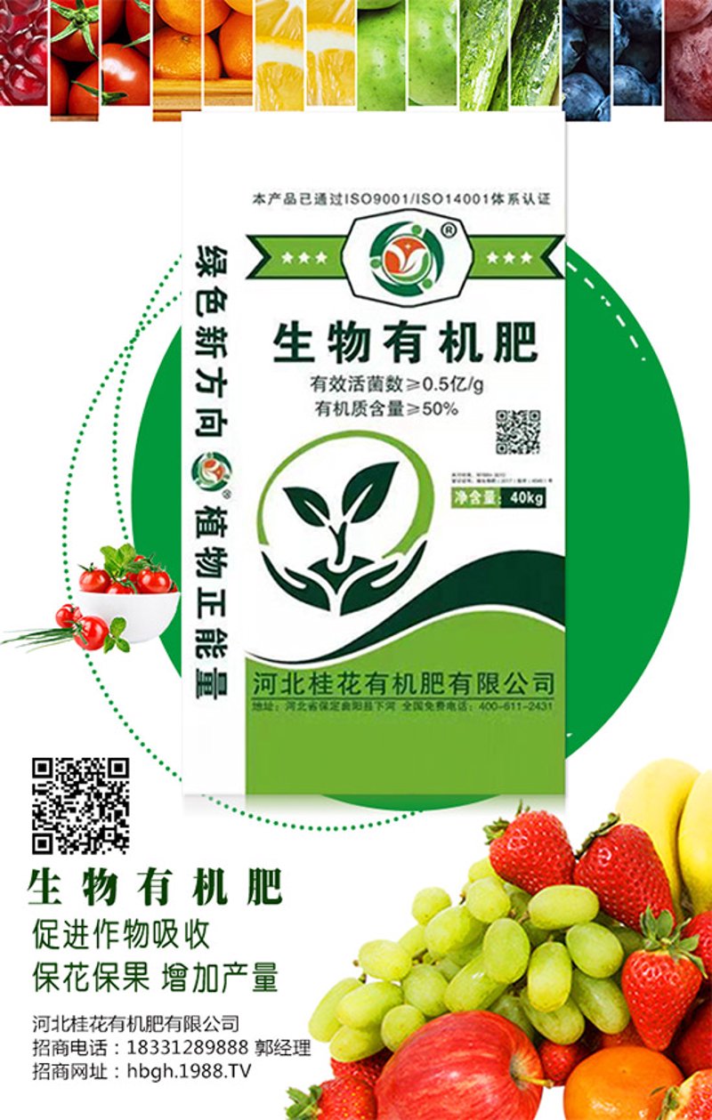 发酵技术:引领食品工业变革的新力量