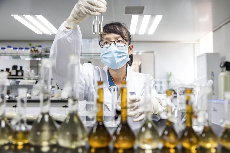 发酵技术在现代食品生产的应用与展望