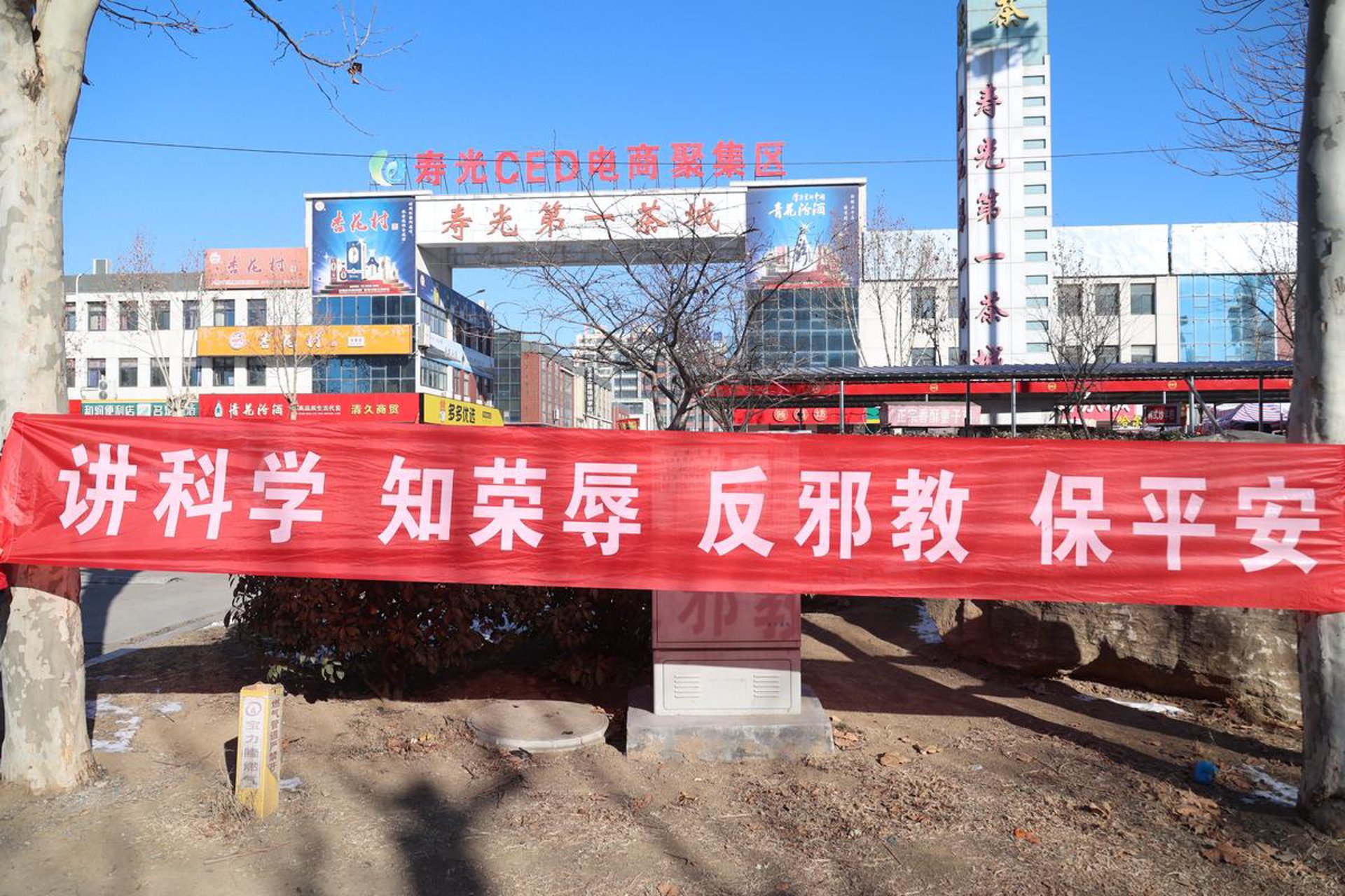 了解发酵技术:选购优质食品的指南